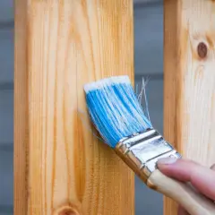Pincel azul aplica protector a madera. Aprende como reparar madera dañada para restaurar su belleza y durabilidad.