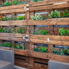 Un **jardín vertical con palets** crea un oasis verde. Plantas de colores vibrantes crecen en compartimentos de madera rústica, invitando a la relajación.