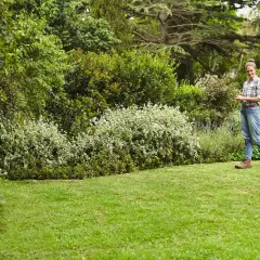 Mujer sonríe en un jardín exuberante, con un seto de arbustos blancos y verdes, y un gran chopo al fondo.
