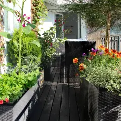 Un balcón lleno de vida, ideal para aprender como hacer un huerto urbano. Flores coloridas y plantas verdes en macetas, creando un oasis.