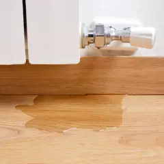 La caldera pierde presión y no hay fugas visibles, pero hay agua en el suelo de madera cerca del radiador.