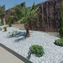 Jardines con piedras blancas y plantas exóticas, como palmeras y cipreses, crean un paisaje moderno y de bajo mantenimiento.
