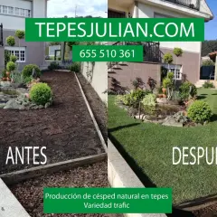Antes y después de la instalación de césped natural. Ideal para saber cuándo abonar el césped y disfrutar de un jardín verde.