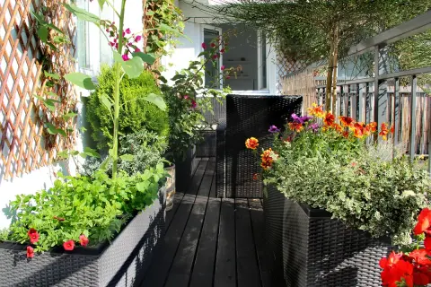 Un balcón lleno de vida, ideal para aprender como hacer un huerto urbano. Flores coloridas y plantas verdes en macetas, creando un oasis.