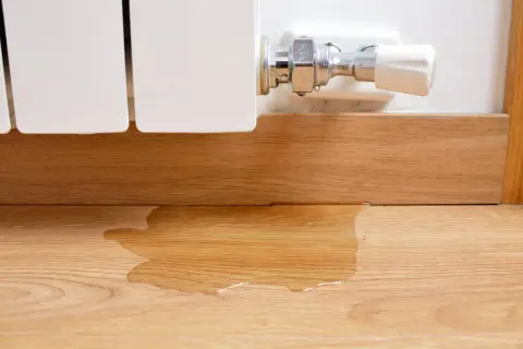 La caldera pierde presión y no hay fugas visibles, pero hay agua en el suelo de madera cerca del radiador.