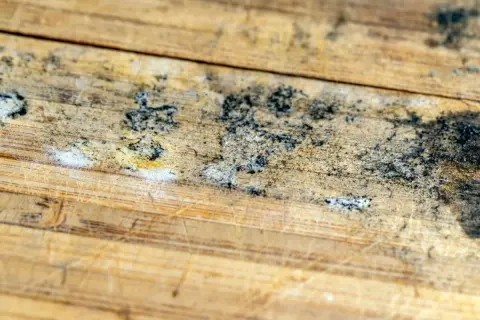 Detalles de moho negro y blanco sobre madera rayada, un problema común al aprender como quitar el moho de la madera.