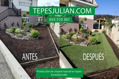 Antes y después de la instalación de césped natural. Ideal para saber cuándo abonar el césped y disfrutar de un jardín verde.