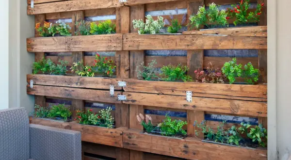 Un **jardín vertical con palets** crea un oasis verde. Plantas de colores vibrantes crecen en compartimentos de madera rústica, invitando a la relajación.