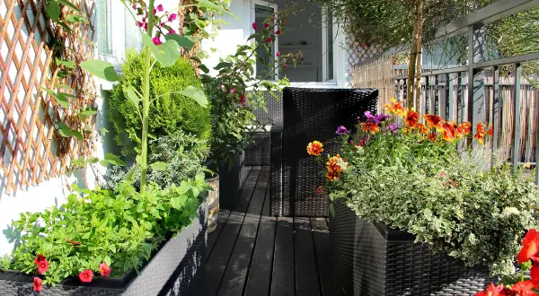 Un balcón lleno de vida, ideal para aprender como hacer un huerto urbano. Flores coloridas y plantas verdes en macetas, creando un oasis.