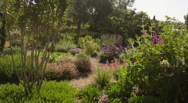 Un prado de flores vibrantes con tonos rosados, morados y blancos, rodeado de vegetación exuberante y árboles frondosos.