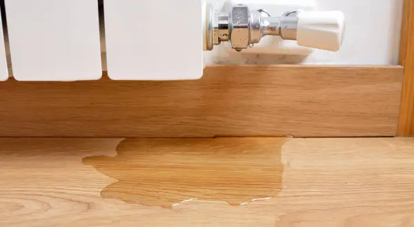 La caldera pierde presión y no hay fugas visibles, pero hay agua en el suelo de madera cerca del radiador.