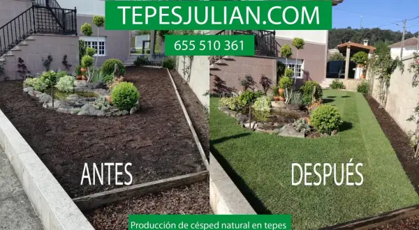 Antes y después de la instalación de césped natural. Ideal para saber cuándo abonar el césped y disfrutar de un jardín verde.