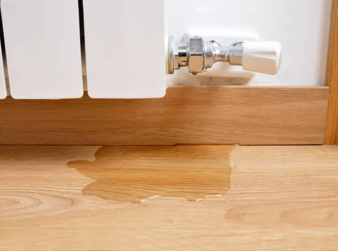 La caldera pierde presión y no hay fugas visibles, pero hay agua en el suelo de madera cerca del radiador.