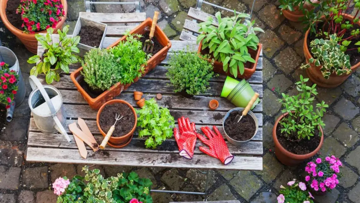 Ideas para que plantar en jardineras de exterior: hierbas aromáticas, flores y plantas verdes en macetas, con herramientas y guantes listos.