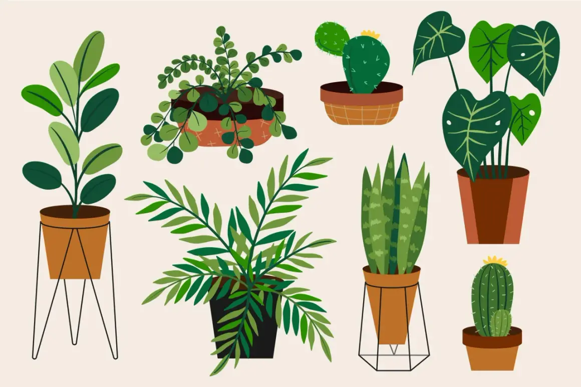 Varias plantas en macetas, como cactus y helechos, nos muestran lo que necesitan las plantas para vivir: luz, agua y tierra.