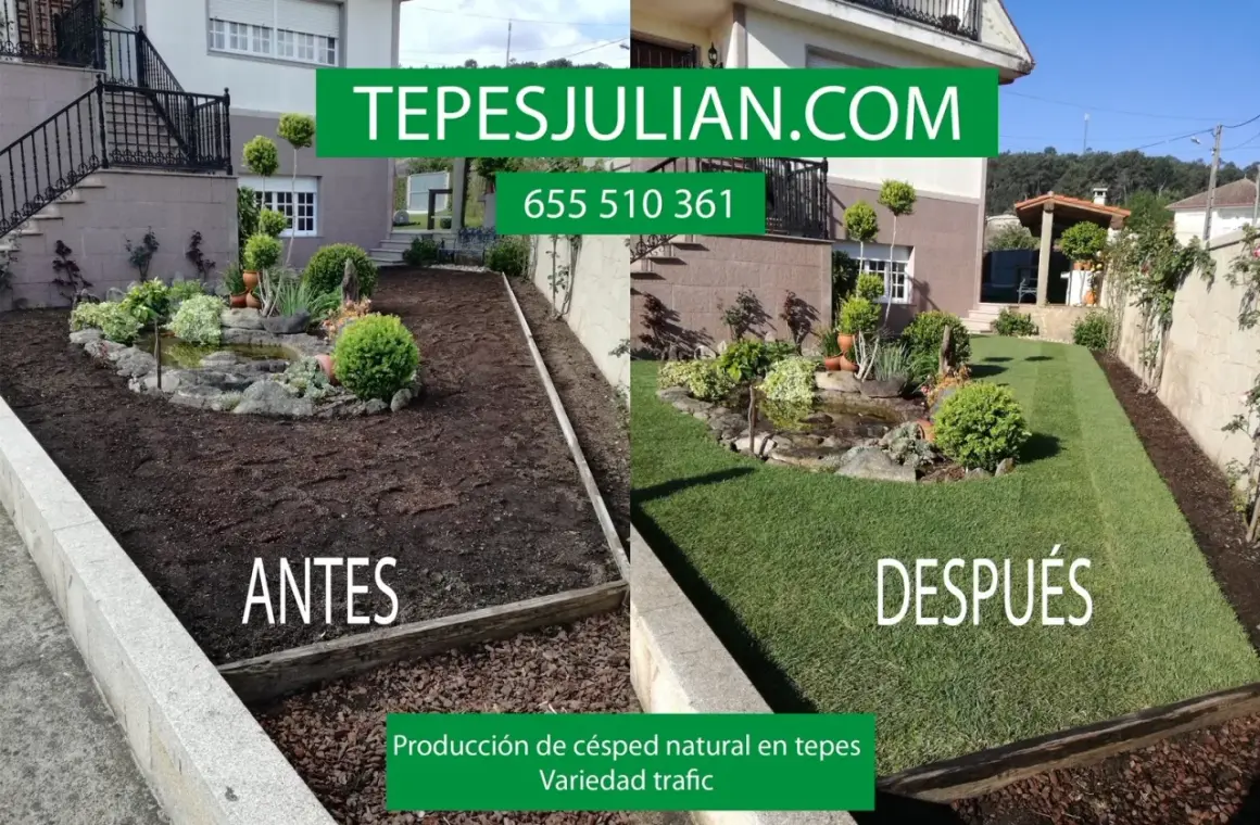 Antes y después de la instalación de césped natural. Ideal para saber cuándo abonar el césped y disfrutar de un jardín verde.