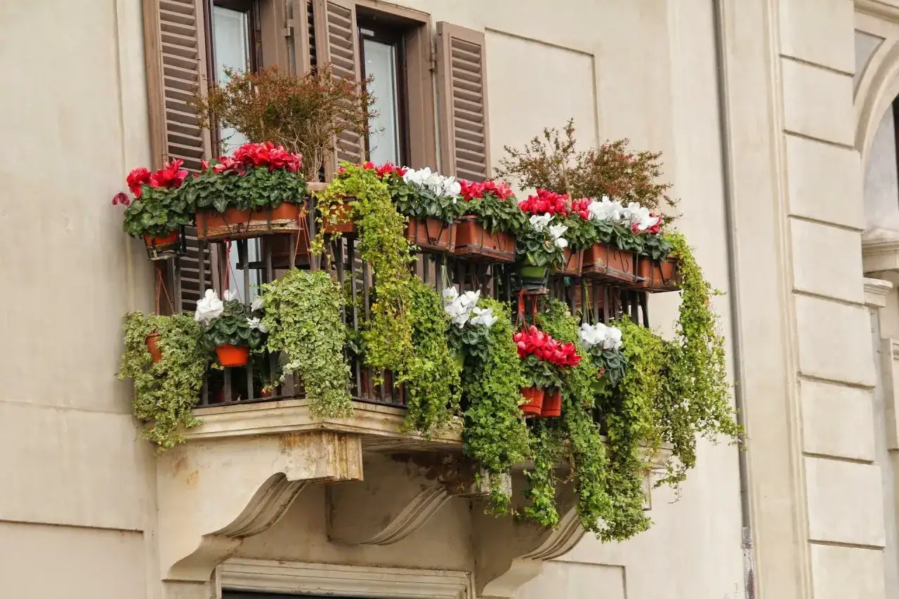 Balcón adornado con flores rojas y blancas, y exuberante vegetación colgante. Un rincón verde que evoca la belleza de las plantas exterior Madrid.