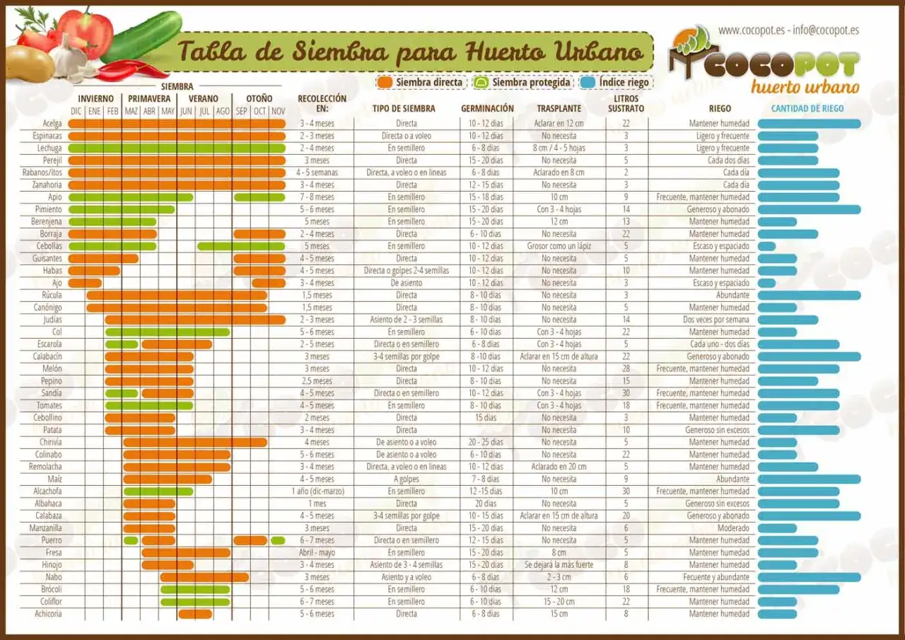 Tabla de siembra para huerto urbano: gu&iacute;a completa para tu calendario siembra huerto.