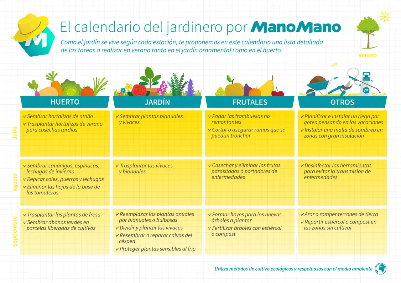 Calendario de tareas de verano: cu&aacute;ndo abonar el c&eacute;sped, plantar, podar y m&aacute;s. Incluye huerto, jard&iacute;n, frutales y otros.