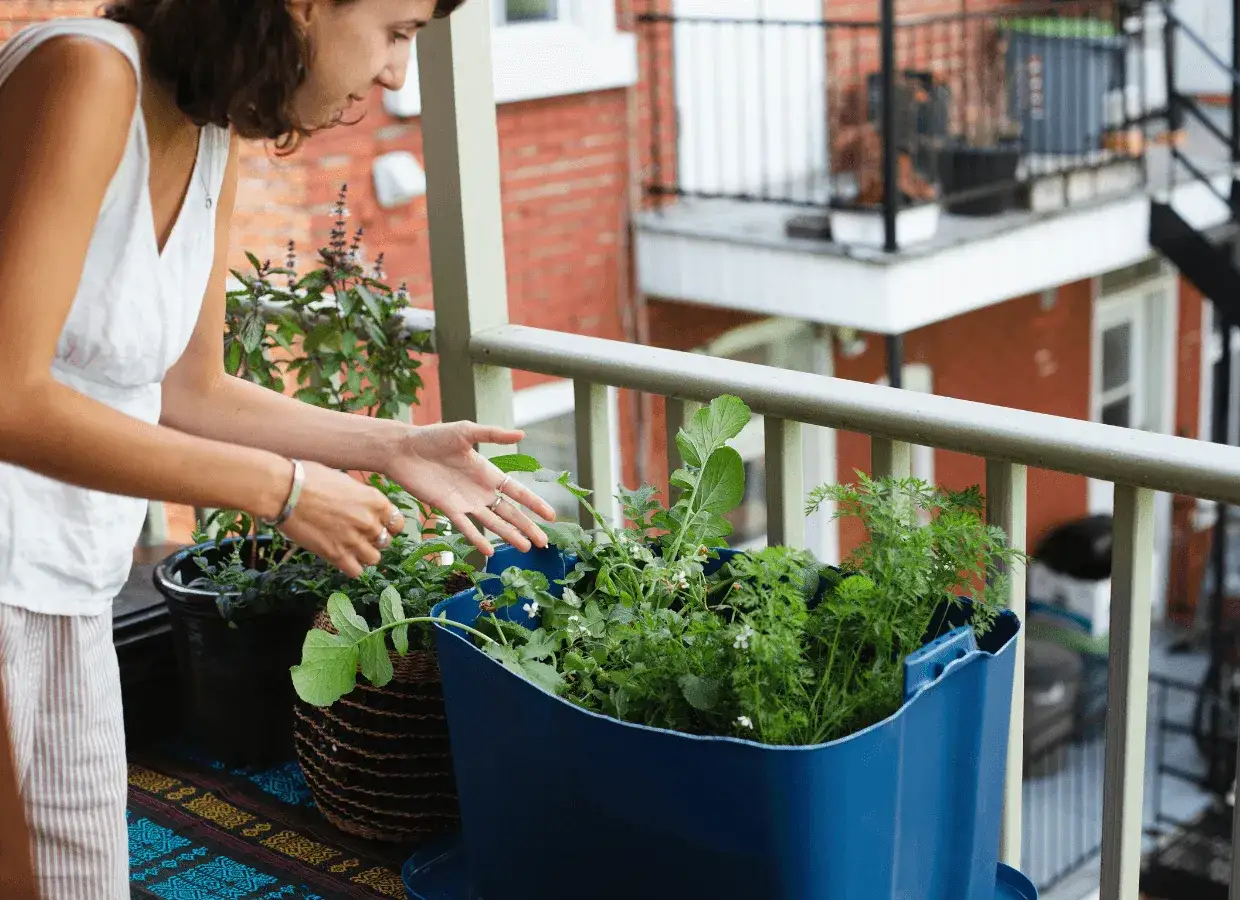 Mujer cuidando su huerto urbano en el balc&oacute;n. Aprende como hacer un huerto urbano con estas plantas.