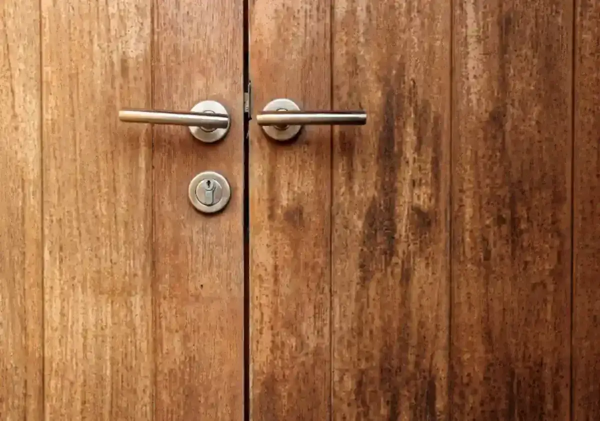 Dos puertas de madera con manijas plateadas y cerraduras. Se aprecian distintos tipos de cerraduras, una con ojo de cerradura visible.