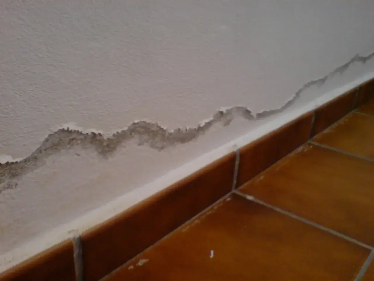 Mancha de humedad en la pared, cerca del suelo. Un problema com&uacute;n que requiere saber c&oacute;mo eliminar la humedad que brota del suelo.