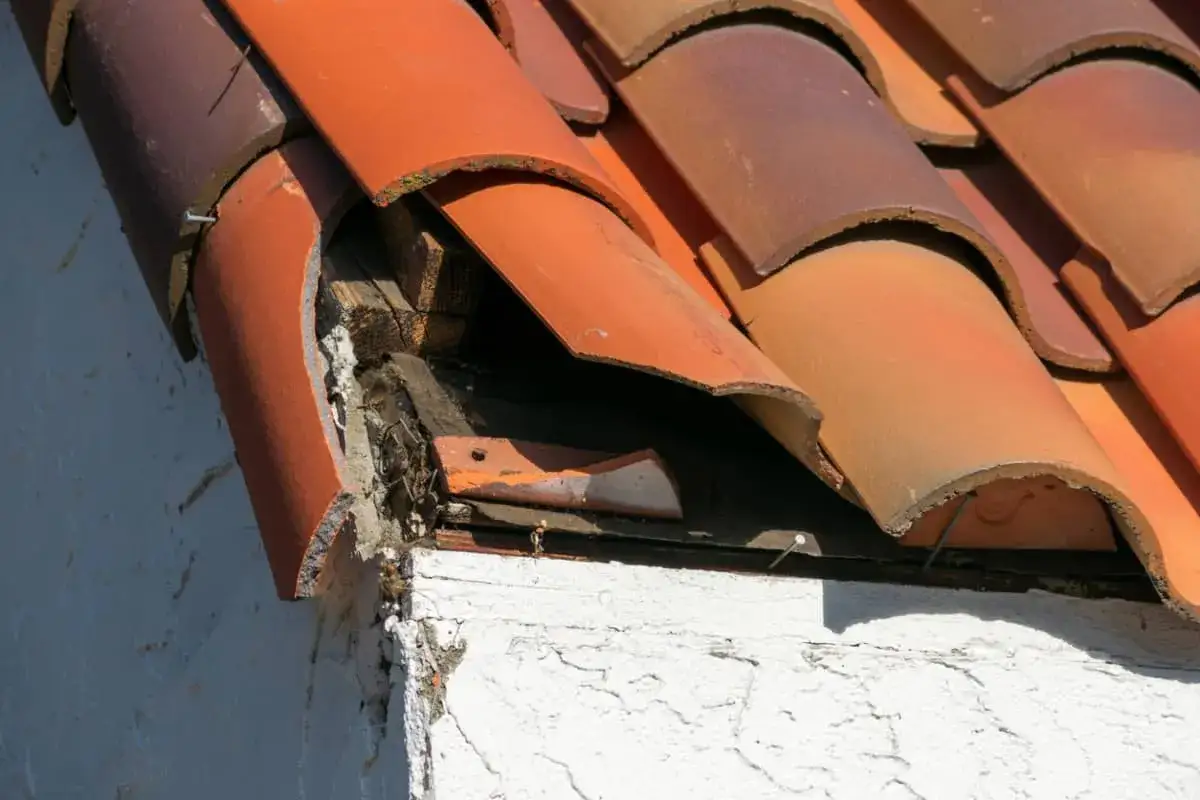 Detalle de tejado con tejas rotas y madera expuesta, mostrando la necesidad de reparar tejado sin quitar tejas.