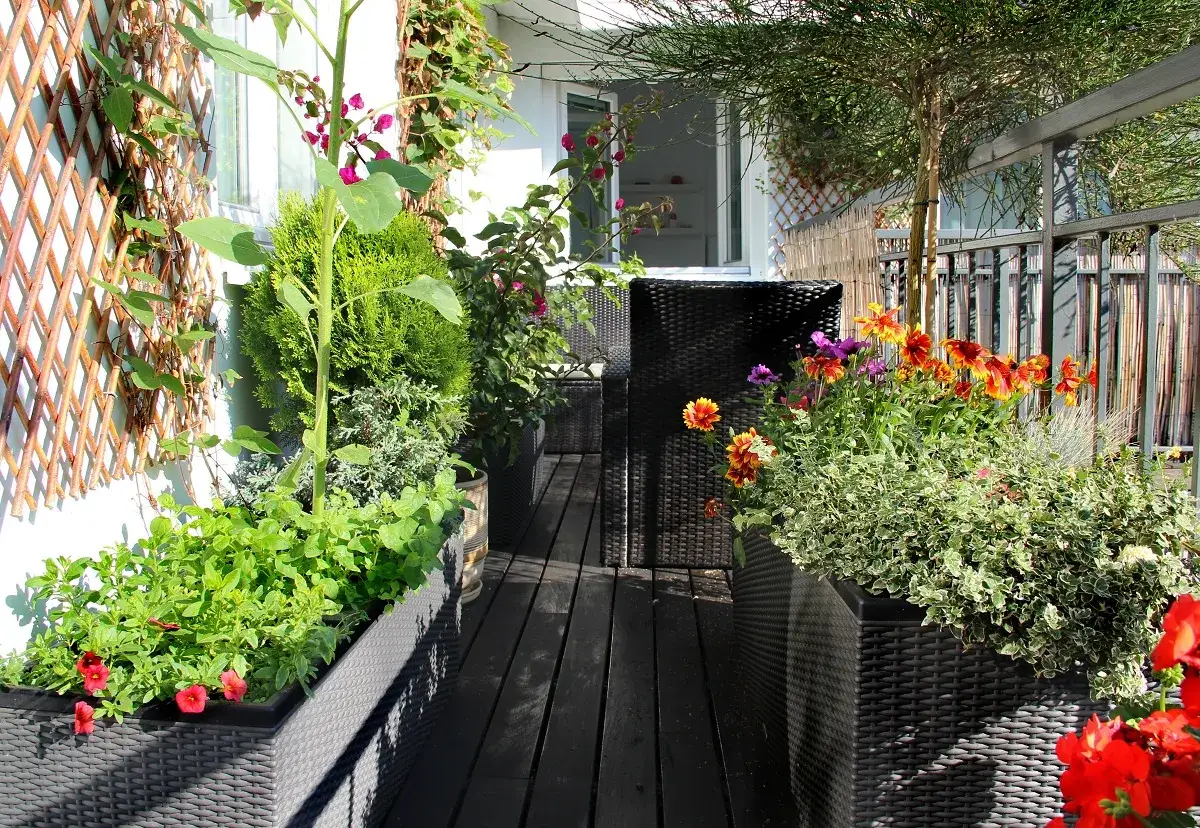 Un balc&oacute;n lleno de vida, ideal para aprender como hacer un huerto urbano. Flores, hierbas y un girasol crecen en macetas.