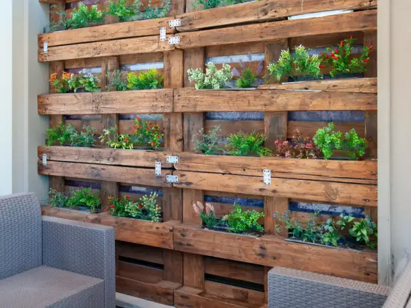 Un **jardín vertical con palets** crea un oasis verde. Plantas de colores vibrantes crecen en compartimentos de madera rústica, invitando a la relajación.