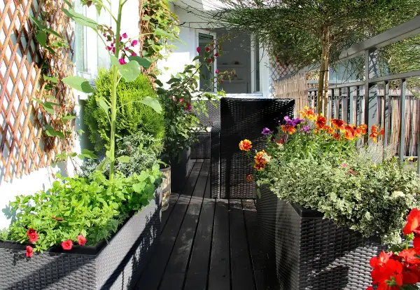 Un balcón lleno de vida, ideal para aprender como hacer un huerto urbano. Flores coloridas y plantas verdes en macetas, creando un oasis.